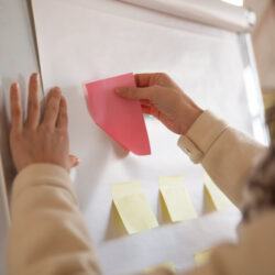 HORIZONTIC- adhesión EPSP